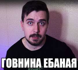 520x464