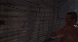 1200x650