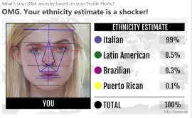 730x453