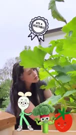 640x1136