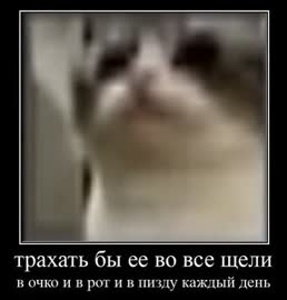 356x372