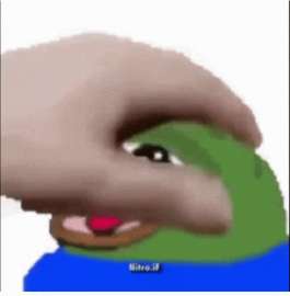 490x498