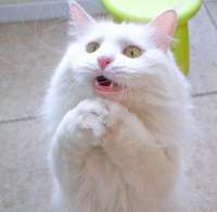 315