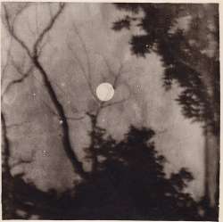 76