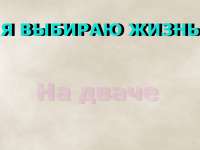 1024x768