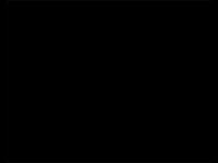 320x240