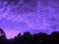 500x373