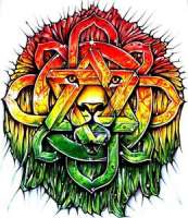 260x300