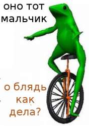 279x393