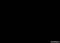 494x360