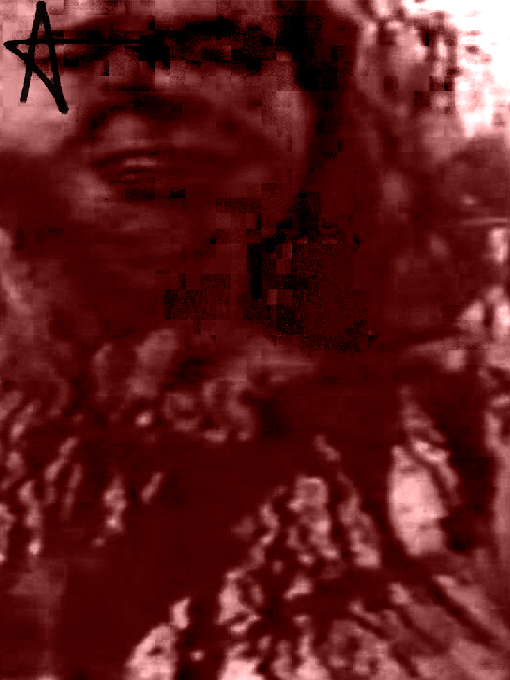 736x981