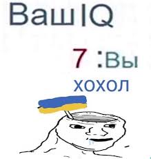 219x230