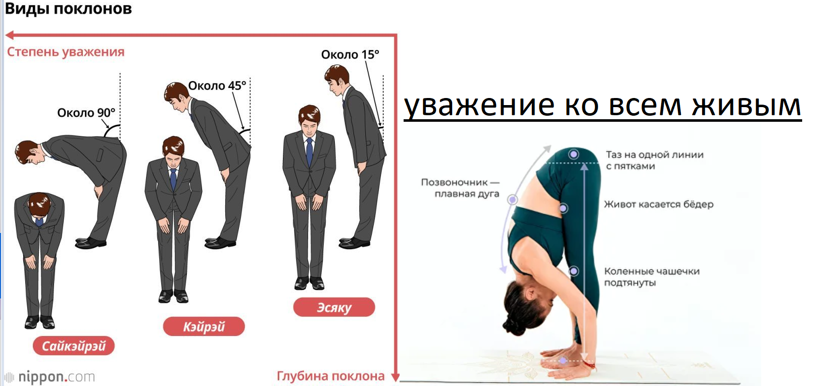 1655x764