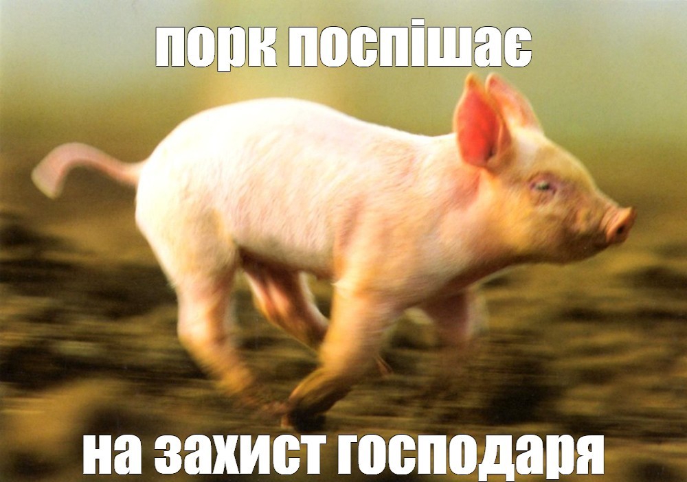 1000x702