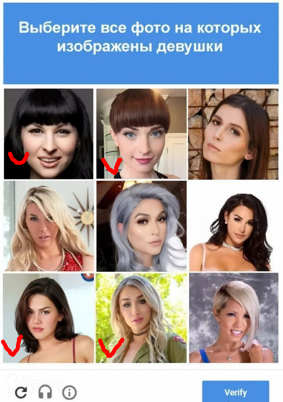 565x800
