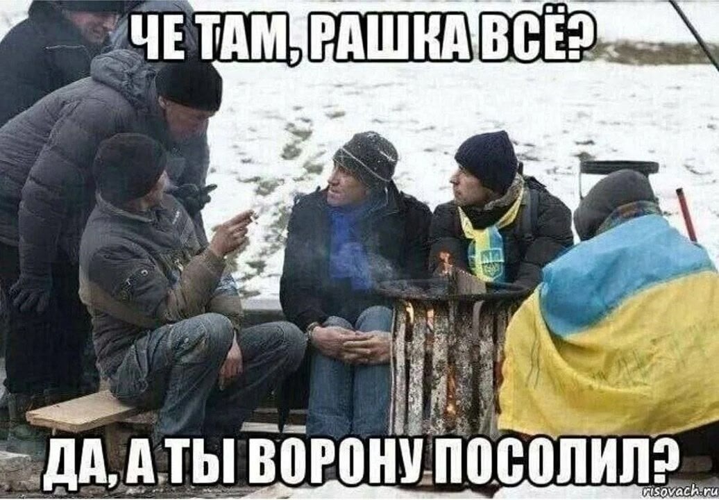 1036x720