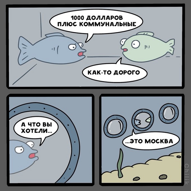 650x650