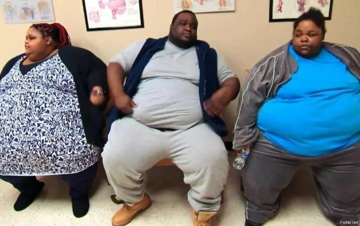1200x753