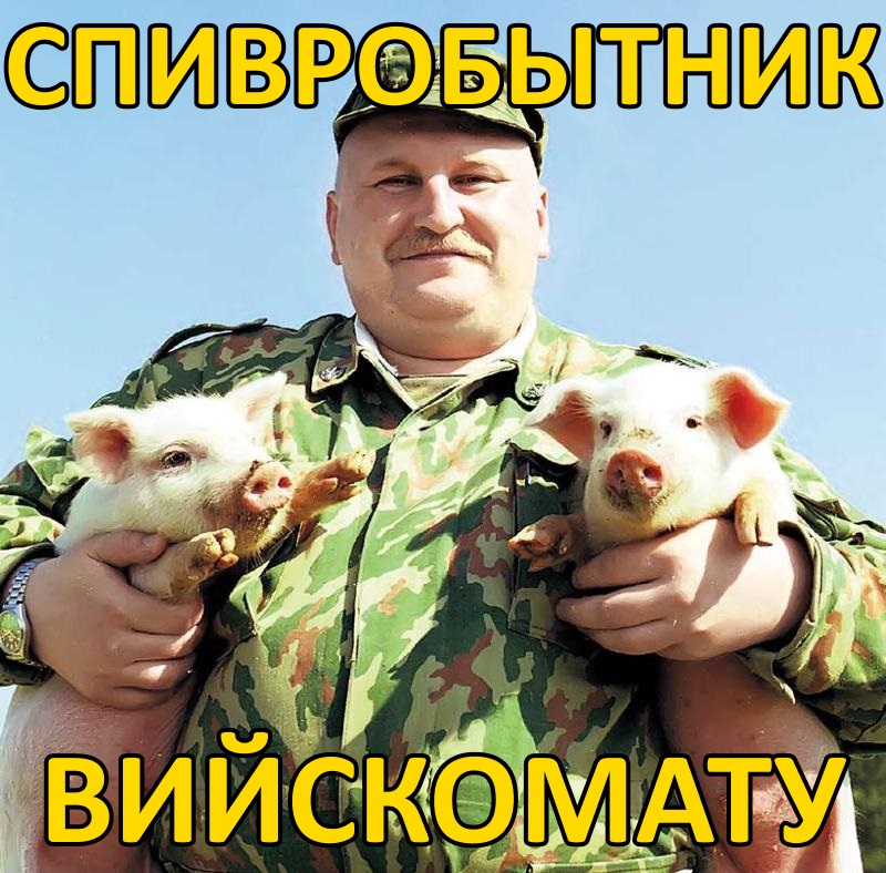 800x788