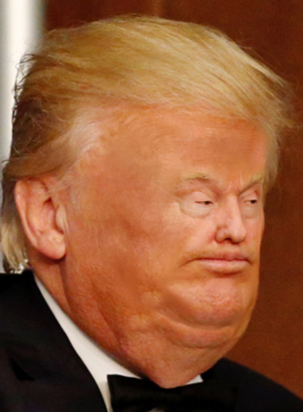 600x817