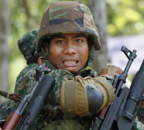 503x454