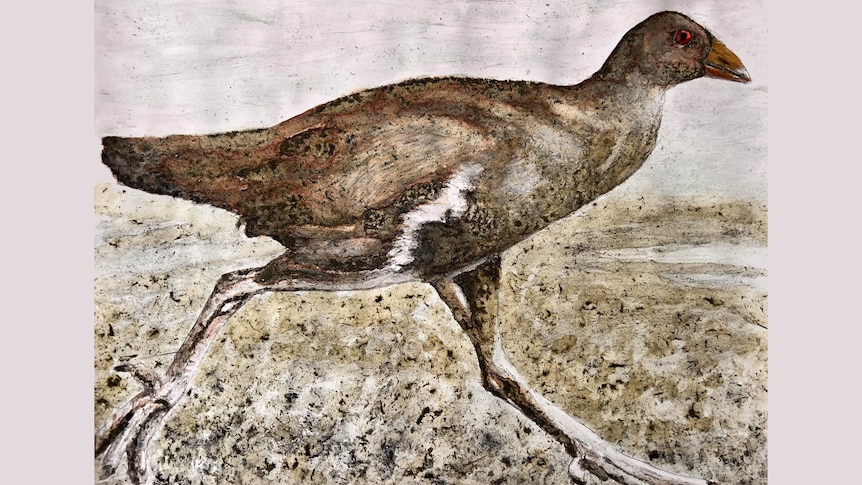 862x485