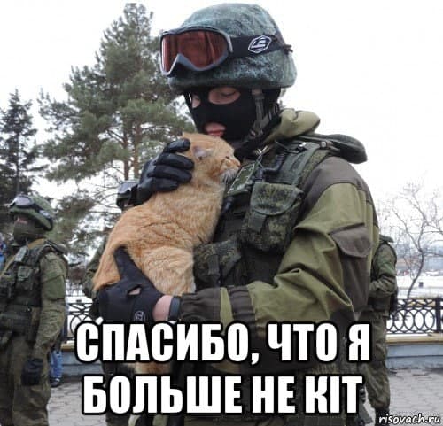500x481