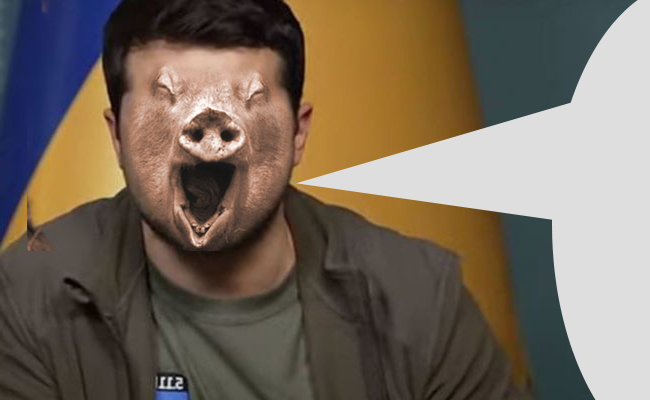 650x400