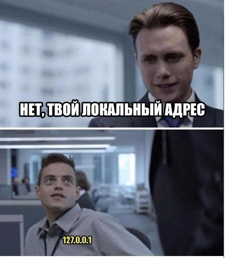 460x528