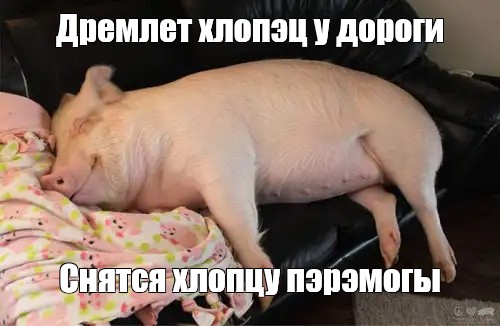 500x326