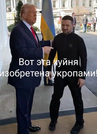 412x564