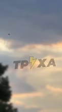 714x1280