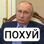 384x384