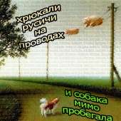 450x450