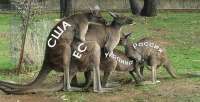 585x300