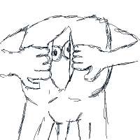 14