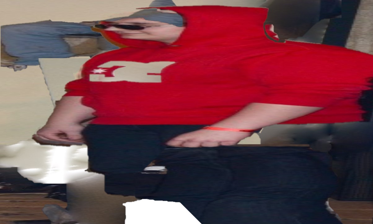 1204x724