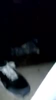 202x360