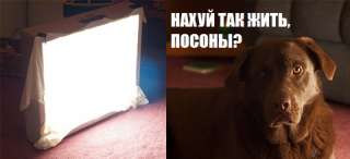 480x220