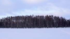 1334x750