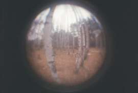 604x406