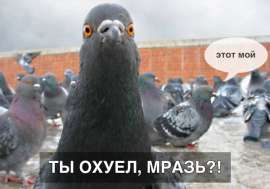 600x421