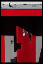 483x710