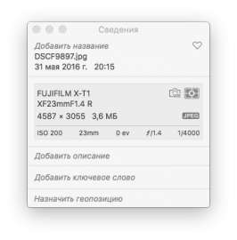 364x369