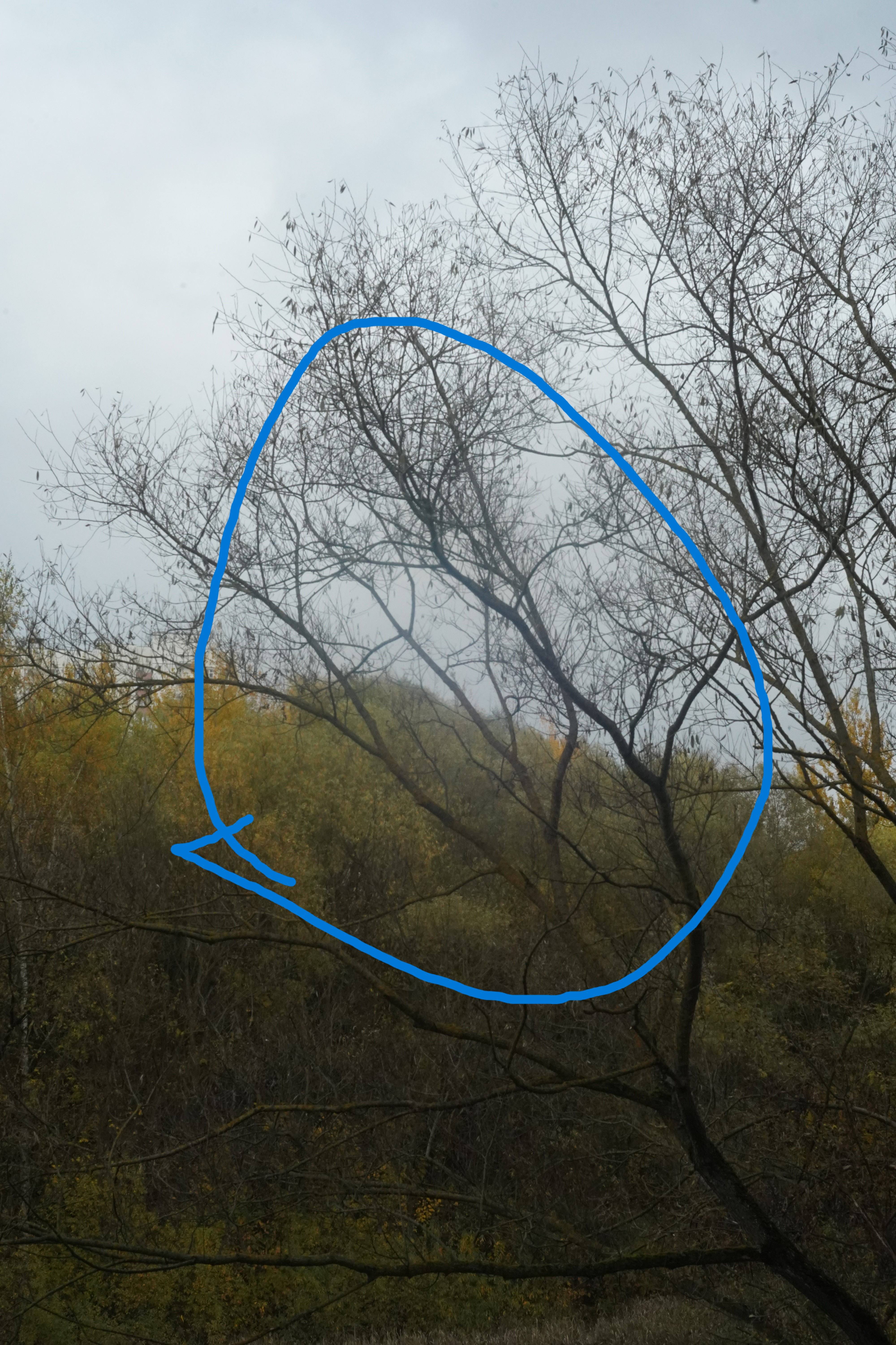 4000x6000