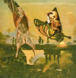 43