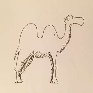 760