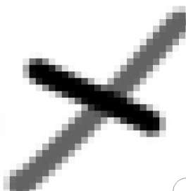 343x350