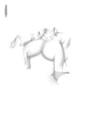 1500x2000