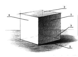 600x443